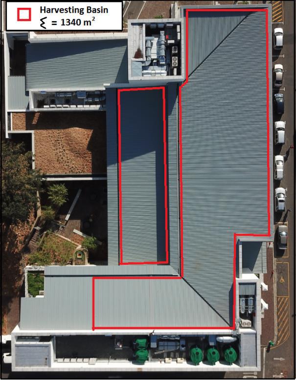 Rain harvesting system